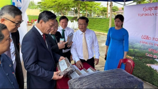 Dấu ấn Cao su Việt Nam trên đất bạn Lào