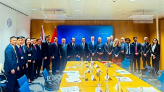 Việt Nam – Vương quốc Anh thúc đẩy hợp tác phòng, chống di cư trái phép