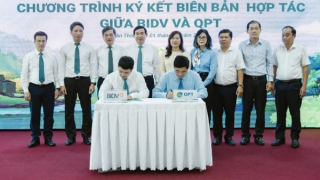BIDV và QPT hợp tác trồng 240.000 cây xanh tại Đồng bằng sông Cửu Long