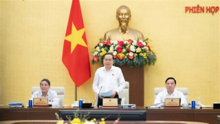 Đánh giá kỹ, bảo đảm tính khả thi, ổn định và lâu dài của chính sách