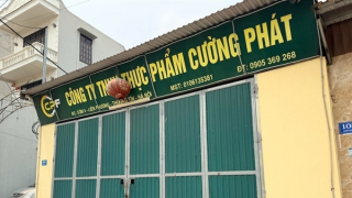 Hành trình triệt phá dường dây giết mổ, tiêu thụ 300 tấn thịt lợn nhiễm dịch tả châu Phi
