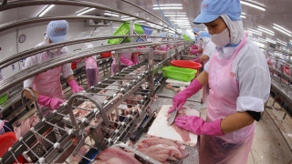 Agro-forestry-fishery exports rise nearly 6% in Q1