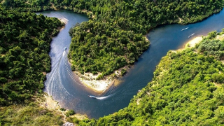 Những người lính ở nơi rừng thẳm