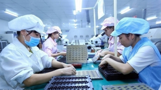 State budget revenue up 10.2% in Q1