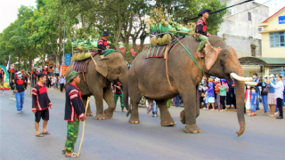 Nhiều hoạt động hấp dẫn tại Lễ hội Sầu riêng Đắk Lắk lần I, năm 2026