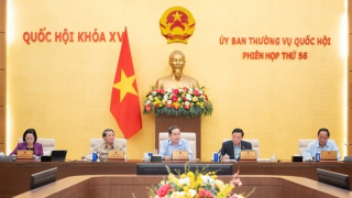 Quốc hội, Ủy ban Thường vụ Quốc hội tăng cường giám sát chuyên đề