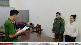 Phó Thủ tướng gửi Thư khen Phòng Cảnh sát kinh tế Công an TP Đà Nẵng triệt phá nhiều đường dây buôn lậu