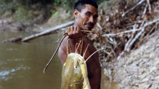 Loài cá di cư xa nhất Trái Đất