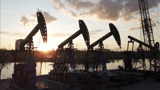 Giá dầu thế giới lại tăng mạnh