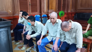 Tuyên án nhóm bị cáo buôn lậu sữa