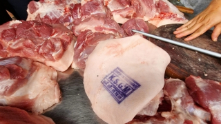 Ăn phải thịt lợn nhiễm bệnh ảnh hưởng thế nào tới sức khỏe?