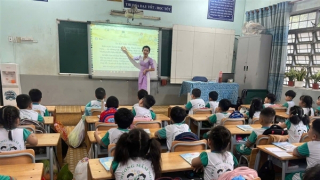 TP Hồ Chí Minh thu hồi đất công sử dụng kém hiệu quả để xây dựng trường học