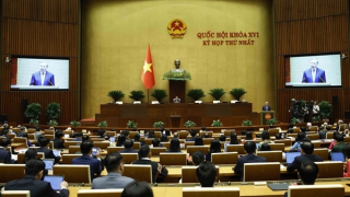 500 người trúng cử đủ tư cách đại biểu Quốc hội khóa XVI