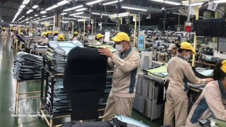 Hanoi's growth holds firm despite fuel price pressures