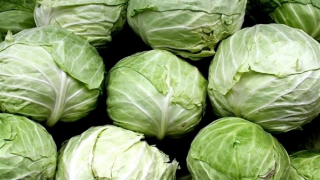 Thái Lan triệt phá vụ vận chuyển 1,6 tấn ma túy đội lốt bắp cải