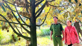 Đấu tranh, phòng ngừa tội phạm trộm cắp tài sản tại Lâm Đồng