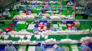 Doanh nghiệp vượt qua thách thức để xuất khẩu xuyên biên giới