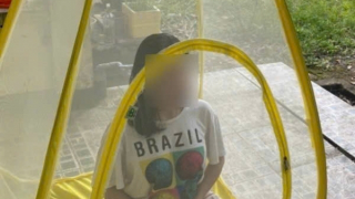 “Chữa lành” bằng những trò quái dị