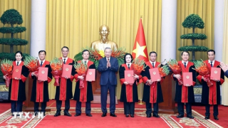 Tổng Bí thư, Chủ tịch nước Tô Lâm trao quyết định bổ nhiệm Thẩm phán Tòa án Nhân dân tối cao