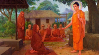 “GATO” - gieo mầm xấu độc!