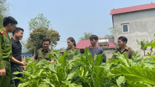 Gõ cửa từng nhà, đẩy lùi ma túy ở Nam Tuấn