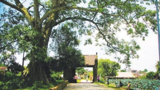 Người lính trở về từ ký ức làng