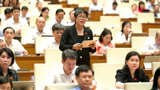 Bảo vệ quyền lợi trẻ em trong gia đình có cha mẹ cùng giới tính nuôi dưỡng