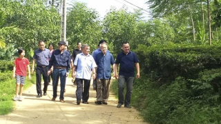 Ngọn gió rừng vẫn thổi nơi suối nguồn