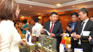 Lâm Đồng: Tăng cường kết nối hợp tác, mở rộng cơ hội đầu tư tại Campuchia