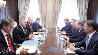 Vietnam, Slovakia look to promote substantive cooperation in bilateral ties