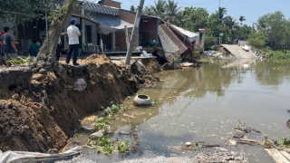 Đồng Tháp: Sạt lở gây thiệt hại lớn tài sản của người dân