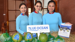 Đồng Tháp và Vĩnh Long xuất khẩu lô bưởi đầu tiên sang thị trường Australia