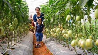 Nông dân Đà Lạt làm "du lịch xanh”