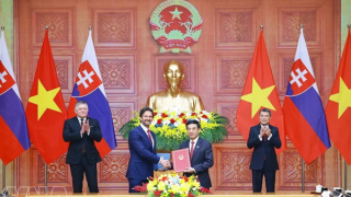 Vietnamese, Slovak PMs witness exchange of documents, chair joint press briefing