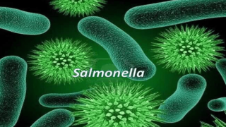 Xác định tác nhân gây ngộ độc thực phẩm tại Trường tiểu học Bình Quới Tây