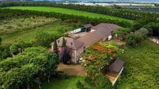 Dalatmilk ra mắt “Sữa Tươi Thanh Trùng Hương Chuối” - kết hợp hoàn toàn từ sữa tươi cao nguyên và hương chuối tự nhiên