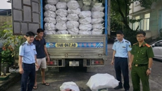 Thu giữ hơn 12 tấn chân lợn "bẩn" tại khu vực biên giới