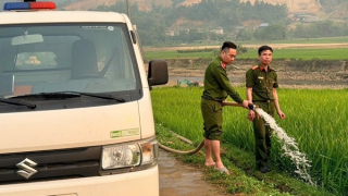 Lào Cai: Công an xã cứu gần 30ha lúa hạn