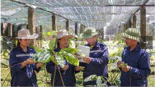 Định hình con đường dược liệu Việt: Tư duy chiến lược của Anh hùng Lao động Thái Hương