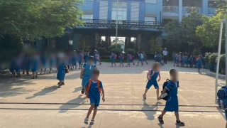 Đề nghị đình chỉ giáo viên phạt học sinh phải tự dùng kim chích vào tay