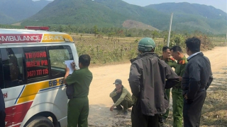 Bị ong đốt khi tuần tra rừng, 5 nhân viên công ty lâm nghiệp thương vong