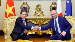 Quyết tâm làm sâu sắc và thúc đẩy thực chất hơn nữa quan hệ Việt Nam-Italy