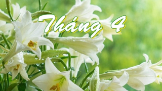 Tháng tư