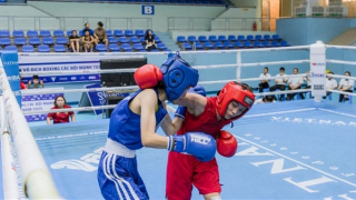 Liên đoàn Quyền anh Việt Nam có chủ tịch mới