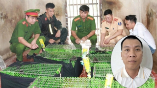 Triệt xóa đường dây mua bán, vận chuyển động vật nguy cấp, quý hiếm