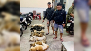 Bắt quả tang 2 “cẩu tặc” trong đêm khuya