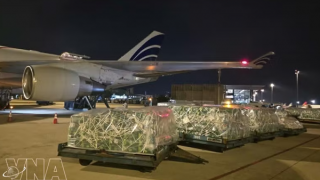Nearly 100 tonnes of Vietnamese fruits, vegetables airlifted to UAE