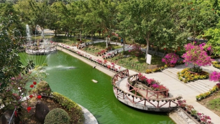 Sống ảo cực chất tại vương quốc ánh sáng An Hảo