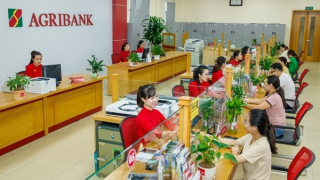 Lan tỏa dòng vốn giá rẻ, Agribank tạo động lực mới cho tăng trưởng