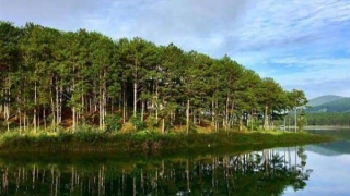 Phát hiện thi thể phân hủy ở Khu du lịch Quốc gia hồ Tuyền Lâm